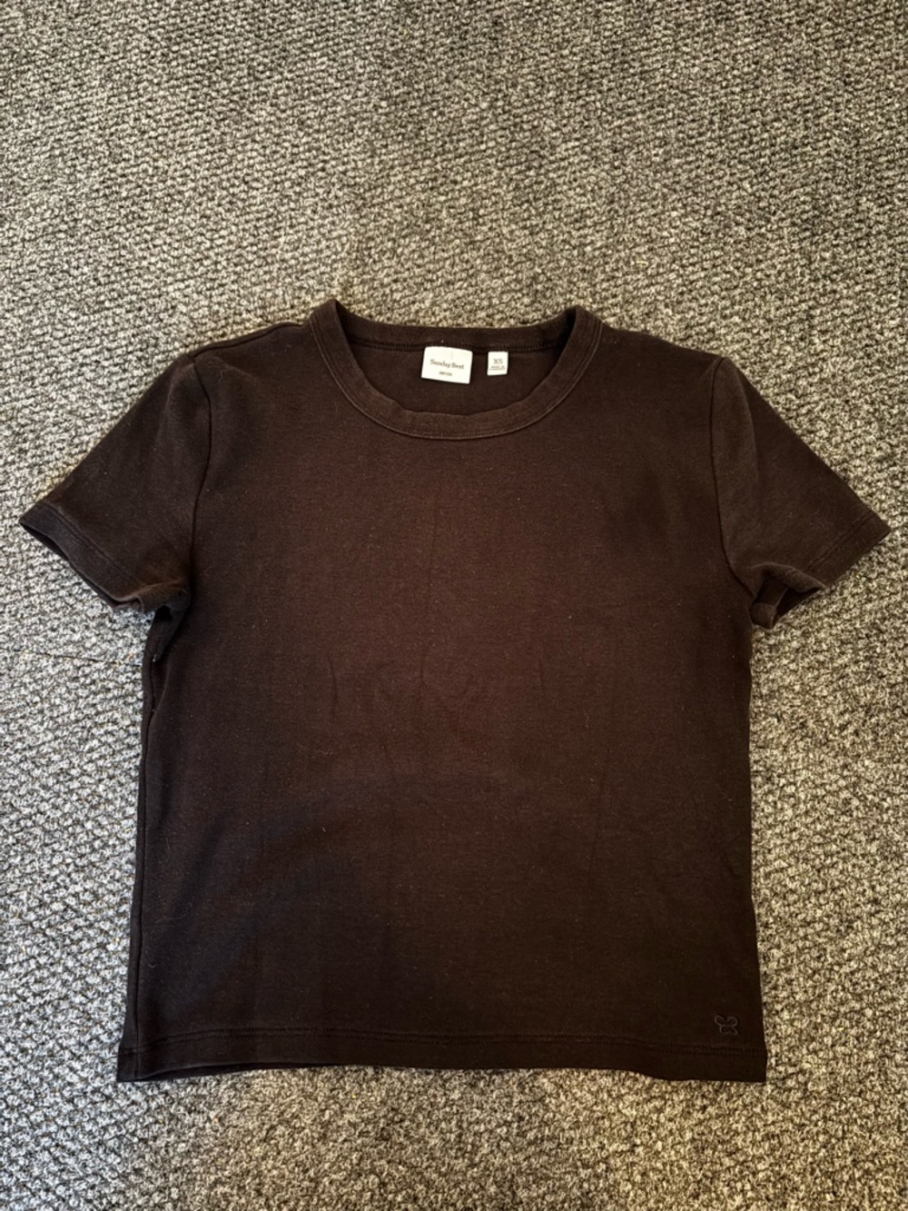 Aritzia Sunday Best Crew Tee Best Bug Little Ribbed T Shirt